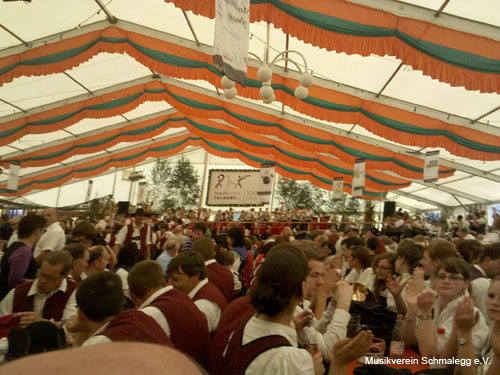 2010-08-08 Jubiläumsumzug 100 Jahre Musikverein Taldorf 13