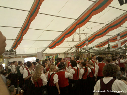2010-08-08 Jubiläumsumzug 100 Jahre Musikverein Taldorf 19