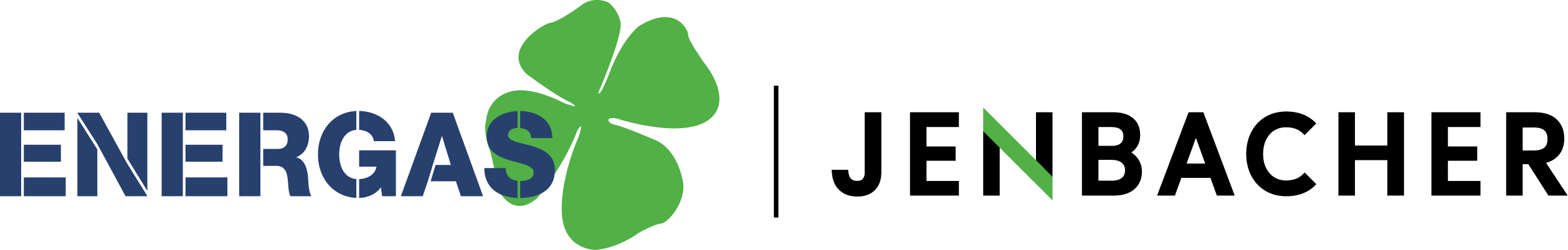 Sponsor Energas BHKW GmbH