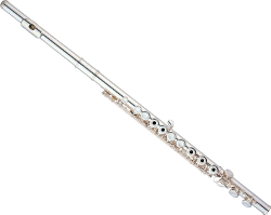 Instrument Querfl&ouml;te